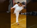 回し蹴り kyokushin karate