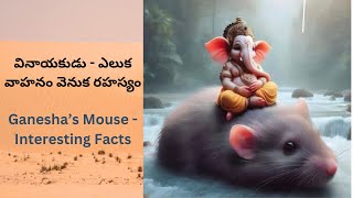 వినాయకుడు - ఎలుక వాహనం వెనుక రహస్యం|| Ganesha’s Mouse - Interesting Facts||