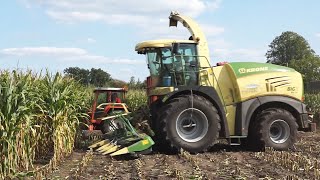 Amazing Agriculture Machine | Krone Big X 580 | mais hakselen | Chopping Corn Silage