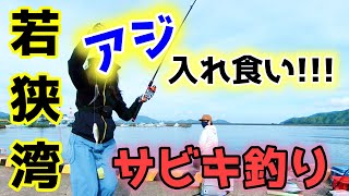 【サビキ釣り】福井【若狭湾】旅先で1時間だけサビキ釣りしたら良型アジ入れ食いになりました♪