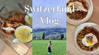 무계획 스위스 여행 Vlog🇨🇭 만들어 먹는 아침과 저녁. 카펠교. 루체른 구경. 빈사의 사자상. 자르넨 호수