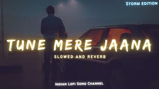 Tune Mere Jaana - Slowed And Reverb | Storm Edition | Gajendra Verma | Lofi Songs | Indian Lofi Song
