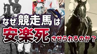 【衝撃の理由】意外と知られていない骨折した競走馬の安楽死に隠された真実！有名な安楽死措置がされた名馬３選