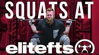 Squatting at Elitefts