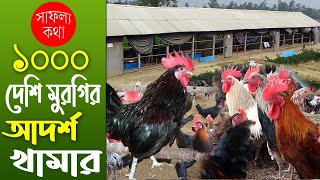 কম খরচে প্রাকৃতিক পদ্ধতিতে 1000 দেশি মুরগি পালন - খাদ্য ও চিকিৎসা | Desi Murgi Khamar -Safollo Kotha