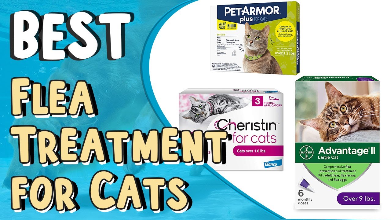 What Is The Best Flea Medicine For Cats And Dogs