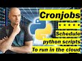 Become a Lazy Genius: Automate Python Scripts with Cronjobs (like my Twitter Bot)