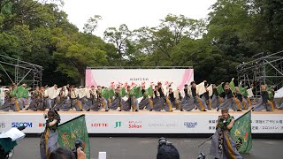 同志社大学よさこいサークル「よさ朗」 📍原宿表参道元氣祭スーパーよさこい (神宮会館ステージ) 2023-08-27T11:12