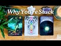 🚨⛔ KENAPA ANDA STUCK/STAGNAN.. Jawab Jelas Mendalam!! ⛔🚨PILIH KARTU Bacaan Tarot Abadi