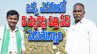 ఎకరంలో 5 ప్యాకెట్ల పత్తి విత్తనాలు పెడుతున్నం | Cotton Farming