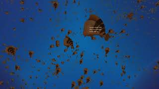 Boid Simulation with Unity | 3000 Boids Swarm Behaviour