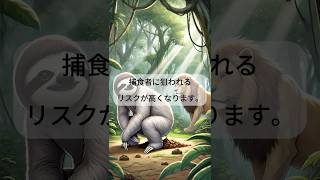 ナマケモノの知らなかった雑学３選＃ナマケモノ＃ライフハック＃雑学＃ショート動画#青山龍星