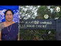 google ல் ஆபாச விளம்பரம் central govt க்கு பறந்த உத்தரவு chennai high court