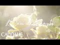 Caudalie - Tales from the vineyard - Beauty Elixir