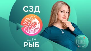 СЗД для Рыб. Солнцезажигающие действия // СЗД для знаков Зодиака