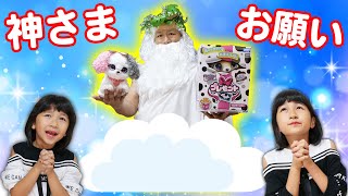 わんこが欲しい～！！神さま！お願い＞＜神さまからのプレゼント☆himawari-CH