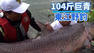 [Deng Gang fishing] Dongjiang wild fishing, with a 104-jin giant green pole, two people barely lifte