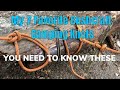 My 7 Favorite Bushcraft/Camping/Outdoor Knots!!