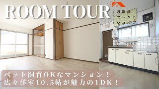 八尾市賃貸　近鉄大阪線久宝寺口駅【コスパのいい部屋でペットと住みたい！10帖越えの1ＤＫマンション】末広マンション 32   1DK29.16㎡　末広町　合同会社コスモ住宅