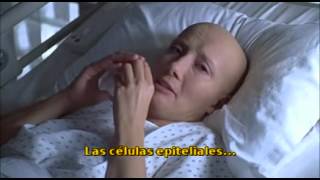 WIT Amar la Vida