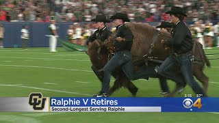 Ralphie V Retires From CU