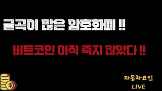 2025. 1.28 더욱더 단단해지는 비트코인 ! 우리도 단단해 집시다 !