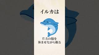 【９割の人は知らない】意外と知らない雑学 #人間関係 #雑学  #特徴