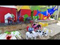 WADIDAU‼️ PROSES POTONG SAPI MOO KURBAN | AA TOYS STORY