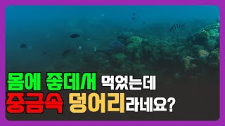 건강식의 배신! 김과 미역의 충격적인 중금속 범벅의 실태