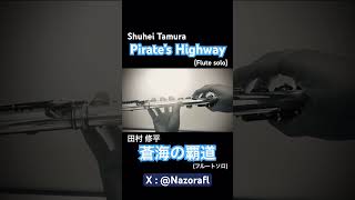 【Flute】蒼海の覇道(Pirate’s Highway) solo / 田村 修平【演奏してみた】#Shorts