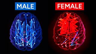 Are Women Smarter than Men?