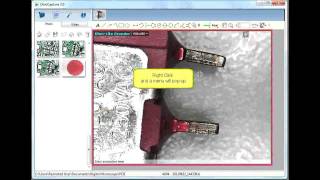 DinoCapture 2.0 IP Camera Mode Dutech Scientific