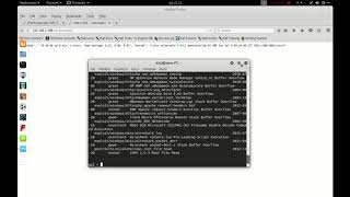 Metasploit - cgi remote command execution - BASH SHELLSHOCK