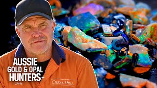 The Cheals Uncover STUNNING Black Opal Boosting Their Season to $585,000! | Outback Opal Hunters