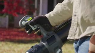 RYOBI 2 Cycle Backpack Blower