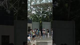 大安森林公園的音樂廣場舉辦演唱會活動。