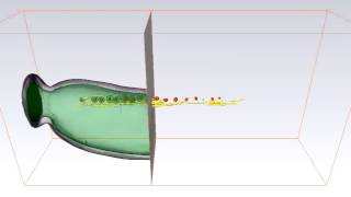 2006 Magnetosomes arranged by Cytoskeletal Filament MamK