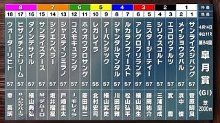 日本ー当たる？ 皐月賞 2024 シミュレーション