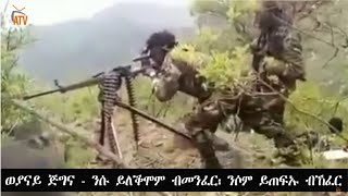 ATV: ወያናይ ጅግና - ንሱ ይለቕሞም ብመንፈር፡ ንሶም ይጠፍኡ ብኸፈር - በሎም ንብልጽግና ብዕልግና፡ በሎም ንህግደፍ መንደፍ፡ በሎም ንፋኖ ዕዋኖ!