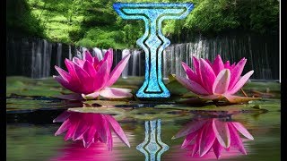5 ყველაზე ლამაზი მცენარე