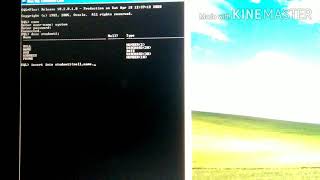 How to insert data in a table in Run SQL command line (single row insertion)