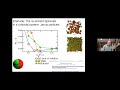 cftc seminar computational studies of the l l transition in supercooled water old and new results.