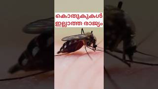 കൊതുകുകൾ ഇല്ലാത്ത രാജ്യം ഏതാണെന്നറിയമോ? #mosquito #malayalam #shorts