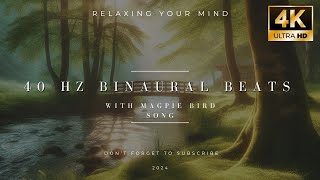 SO BEAUTIFUL: 40 Hz Binaural Beats With Magpie  Bird Song