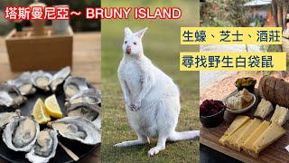 澳洲 塔斯曼尼亞￼ Bruny Island ~ 生蠔、芝士、酒莊⋯\u0026尋找白色小袋鼠@小太熊