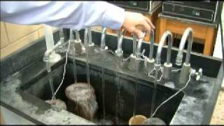 Water Treatment Plant - 02/19/2011