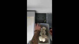 Phantom Crystal egg pulling