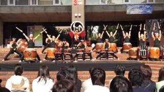 玉川大学 コスモス祭 玉川太鼓「縁」  2015,11,07