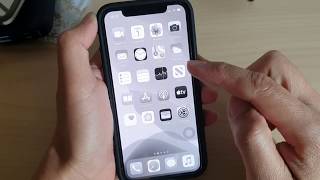 Fix Black And White Screen on iPhone 11 Pro / iOS 13