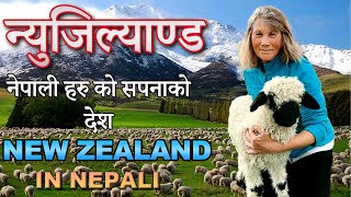 New Zealand Fact in Nepali 🇳🇿 | न्युजिल्याण्ड जान भन्दा पहिला यो भिडियो अवश्य हेर्नु होला